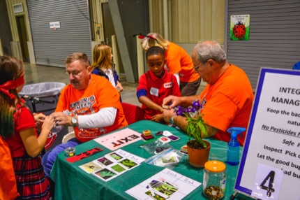 photo of children and our Exploring Insects event